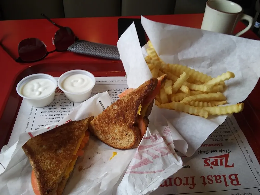 Grilled Cheese Sandwich and French Fries