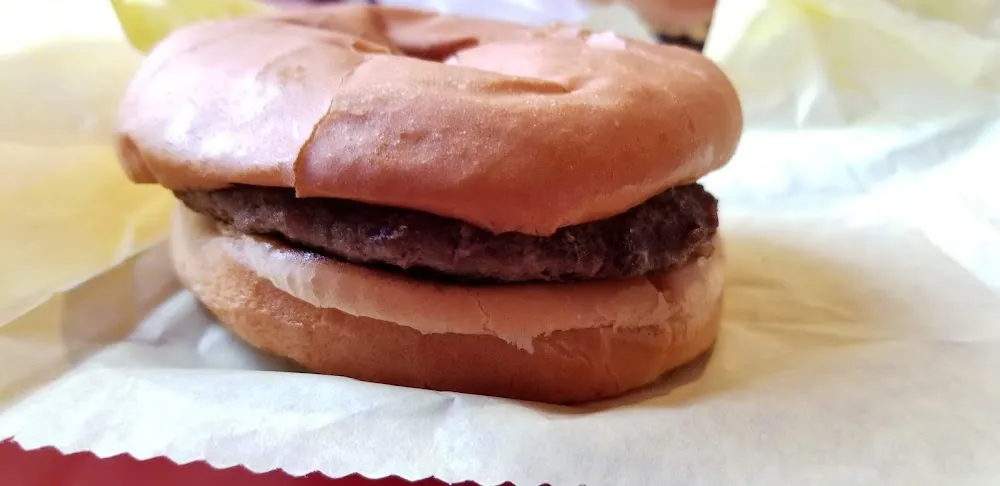 Plain Hamburger